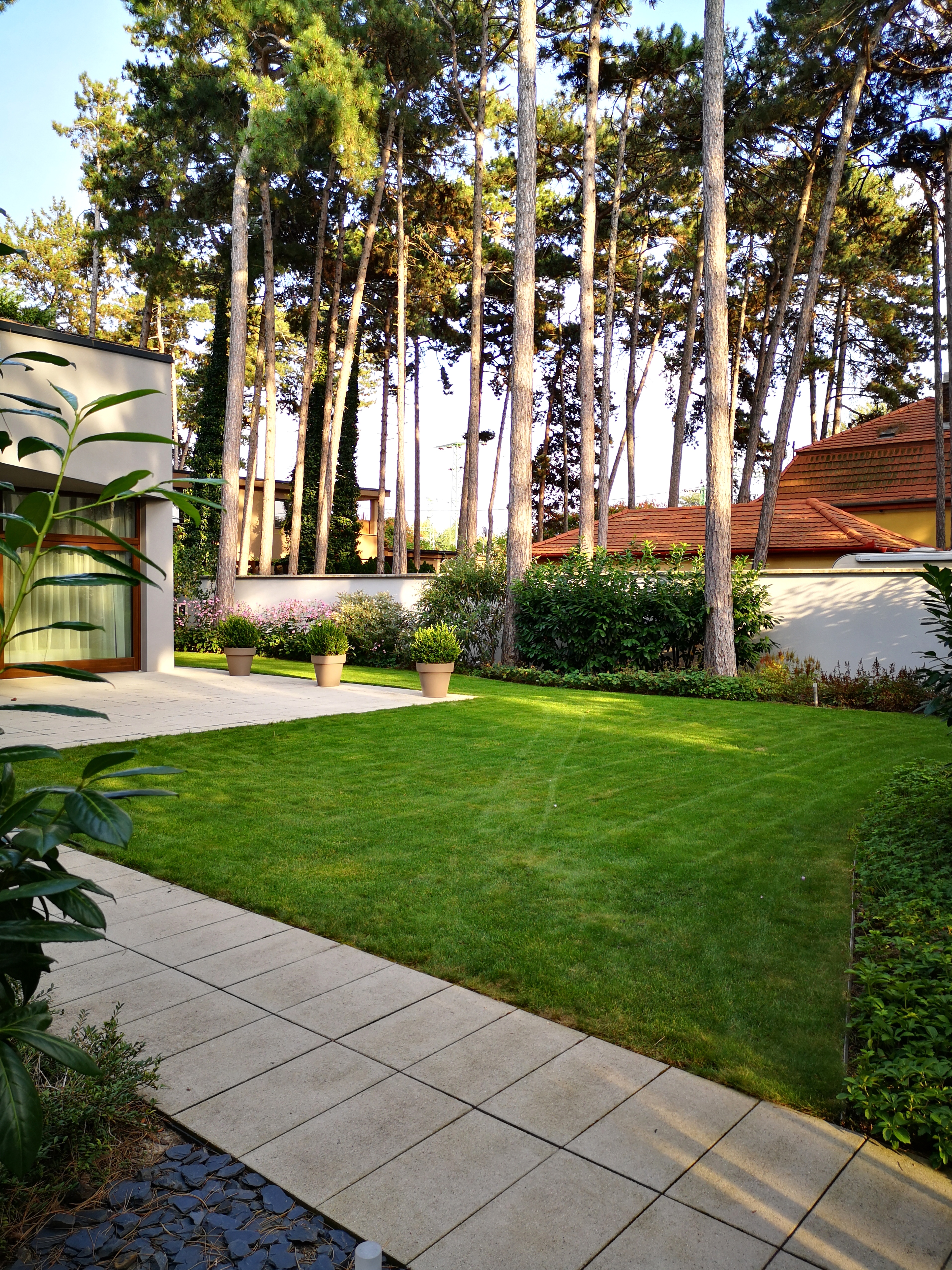 Backyard garden landscaping