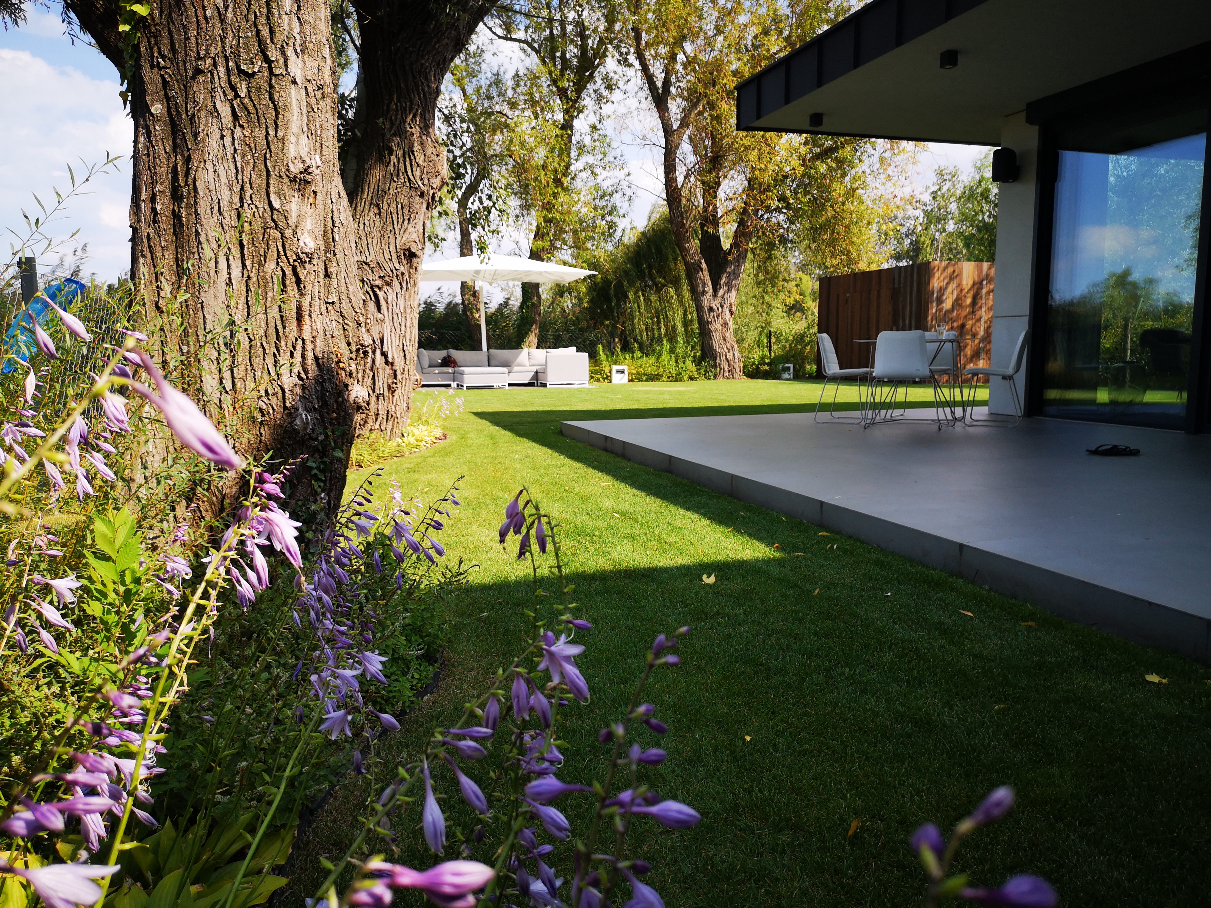 Backyard garden landscaping
