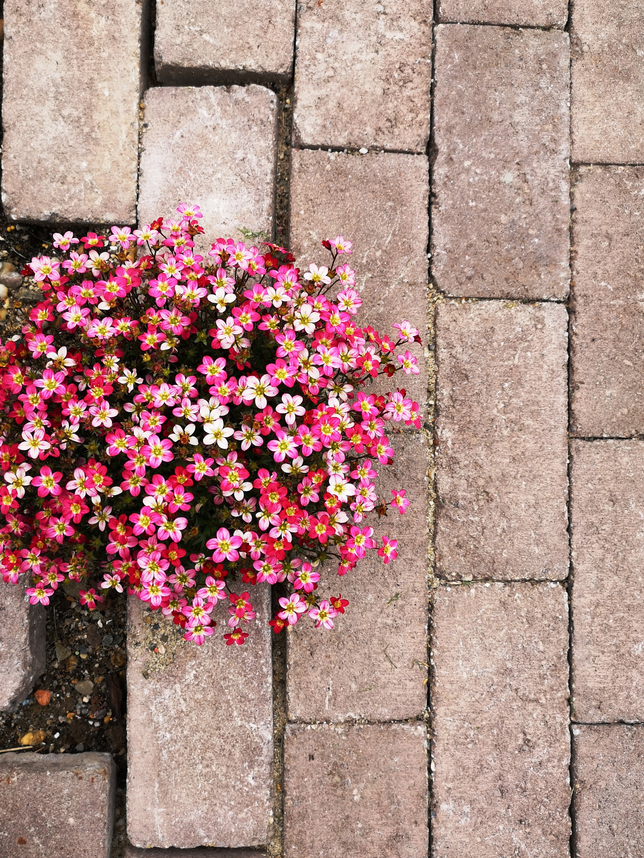 Environmental landscape architecture