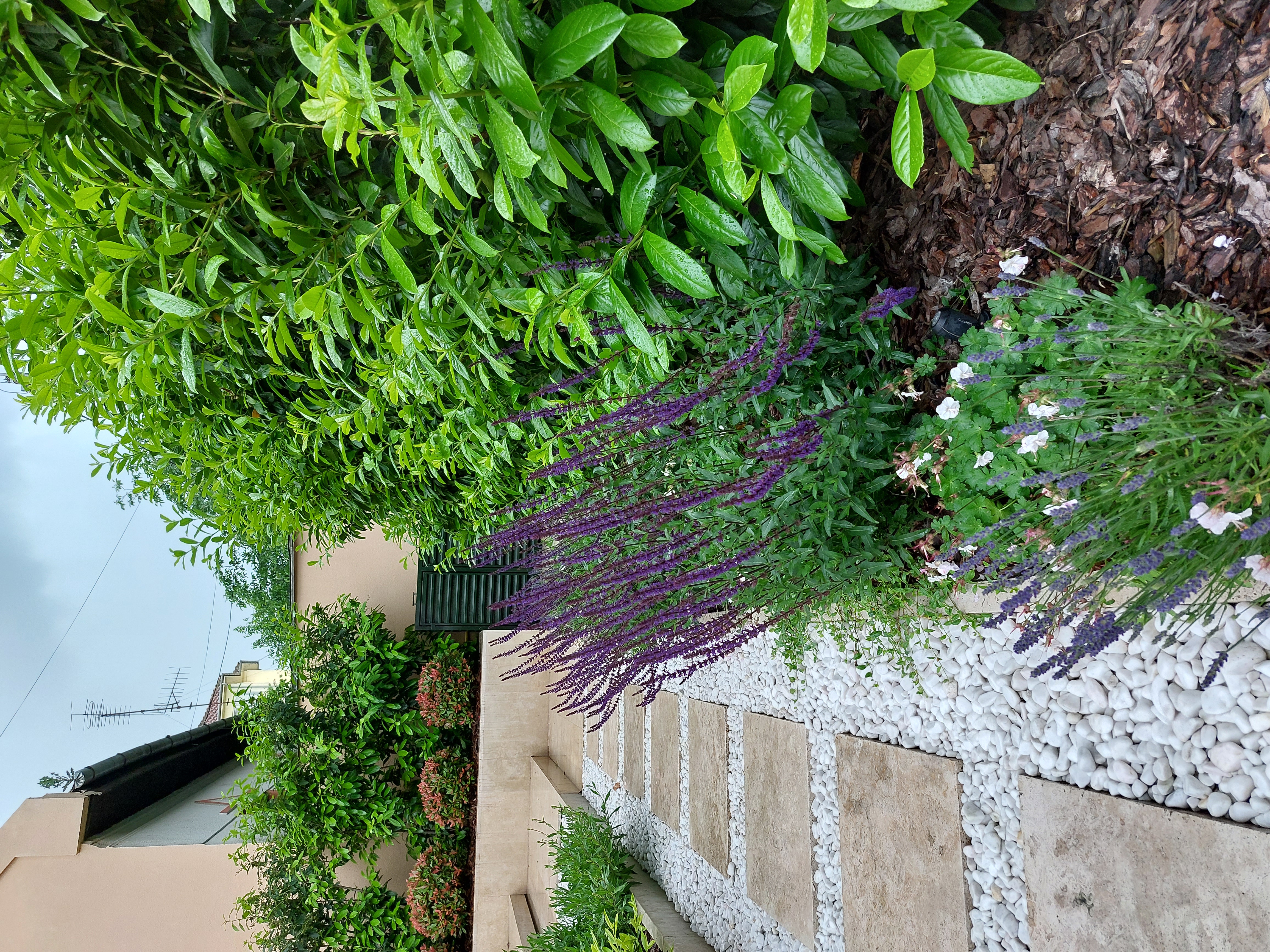 Contemporary landscape architecture