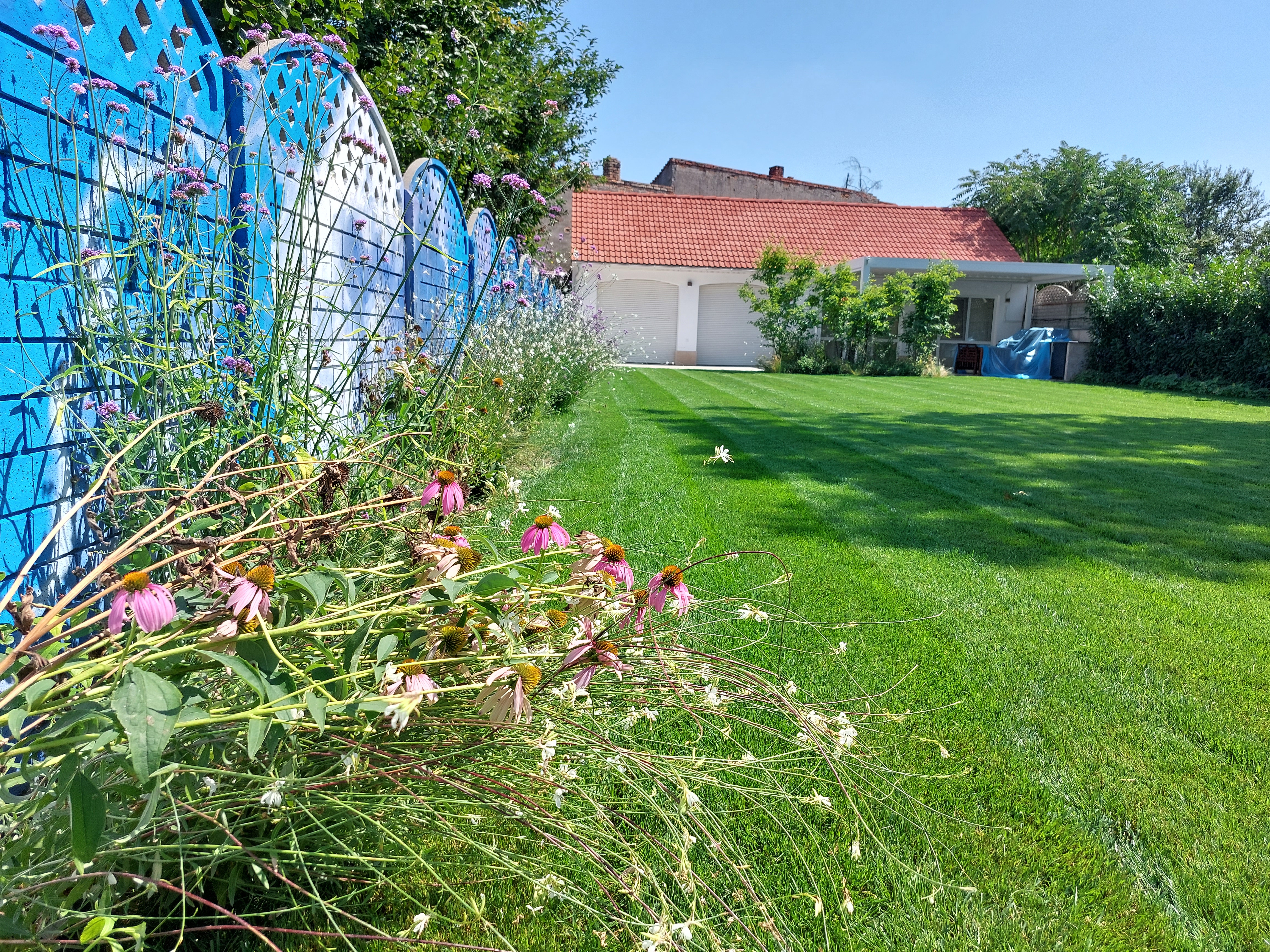 Backyard garden landscaping