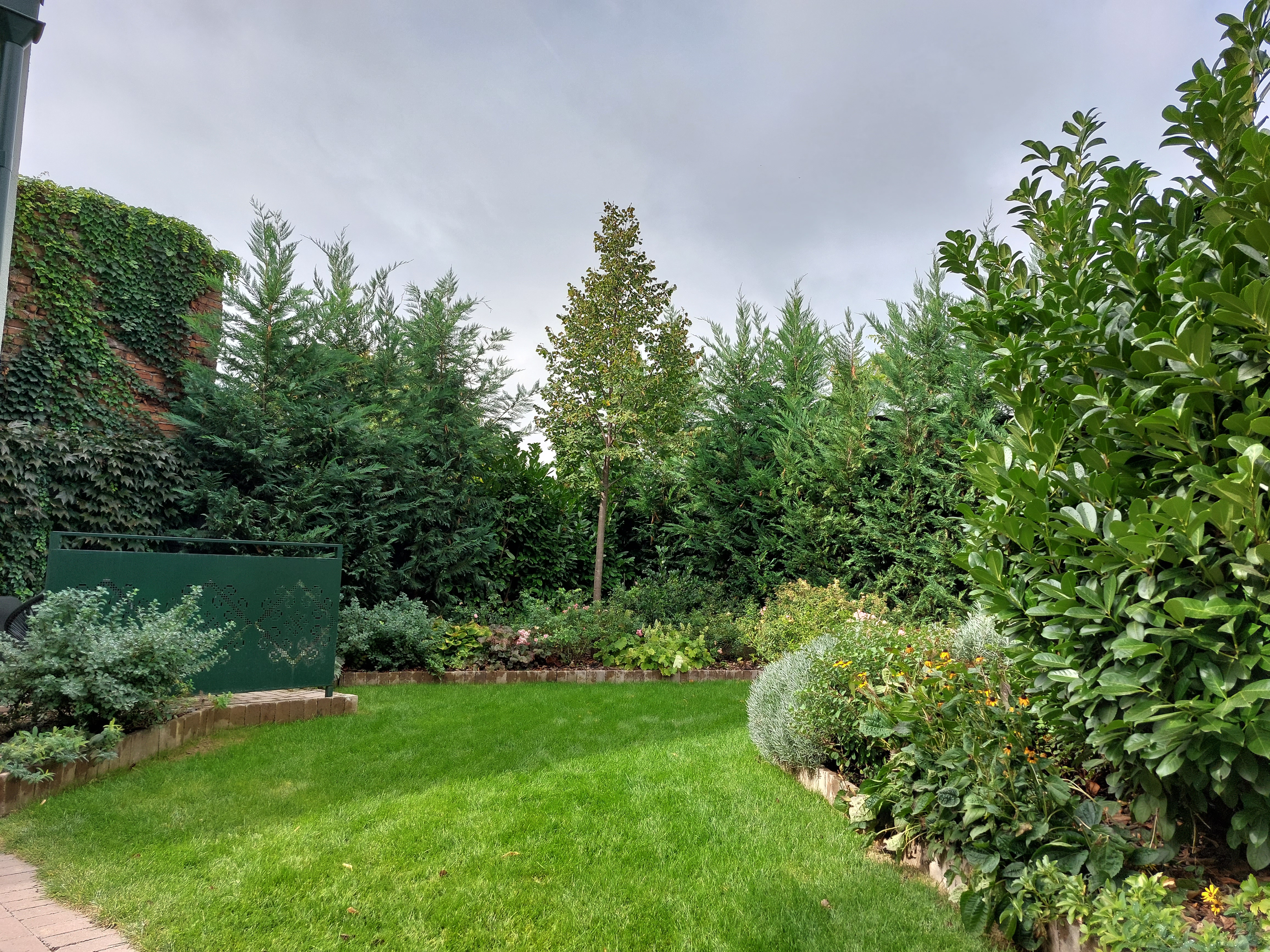 Backyard garden landscaping