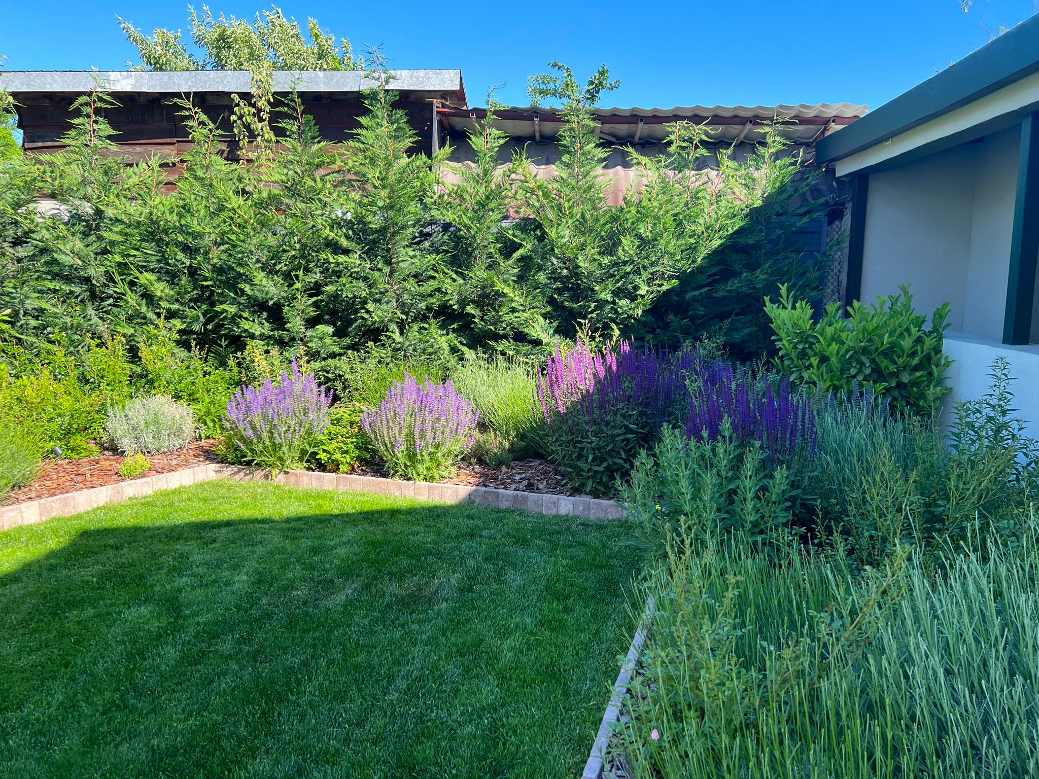 Backyard garden landscaping