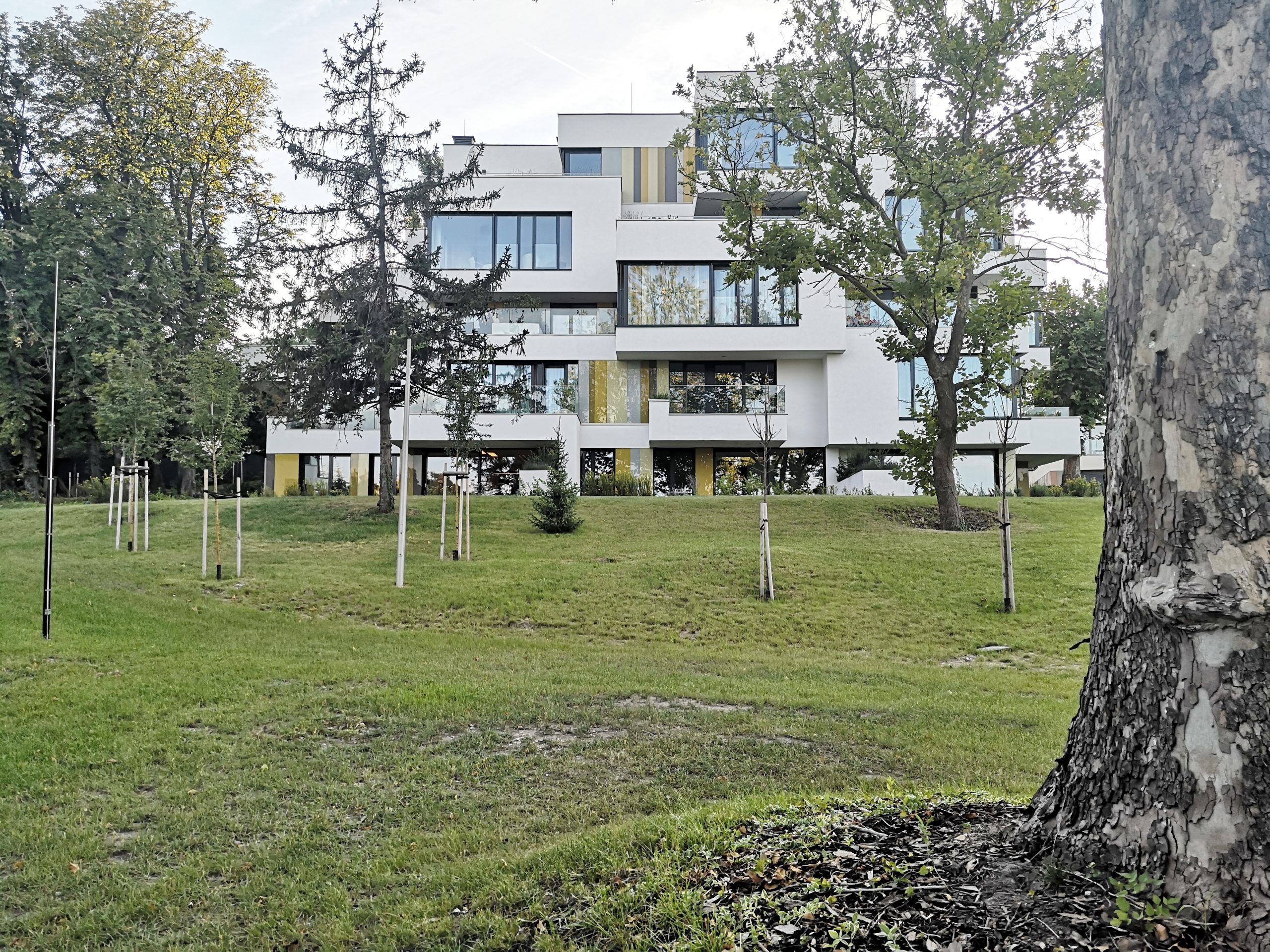 6655b5bb1e478-scaled