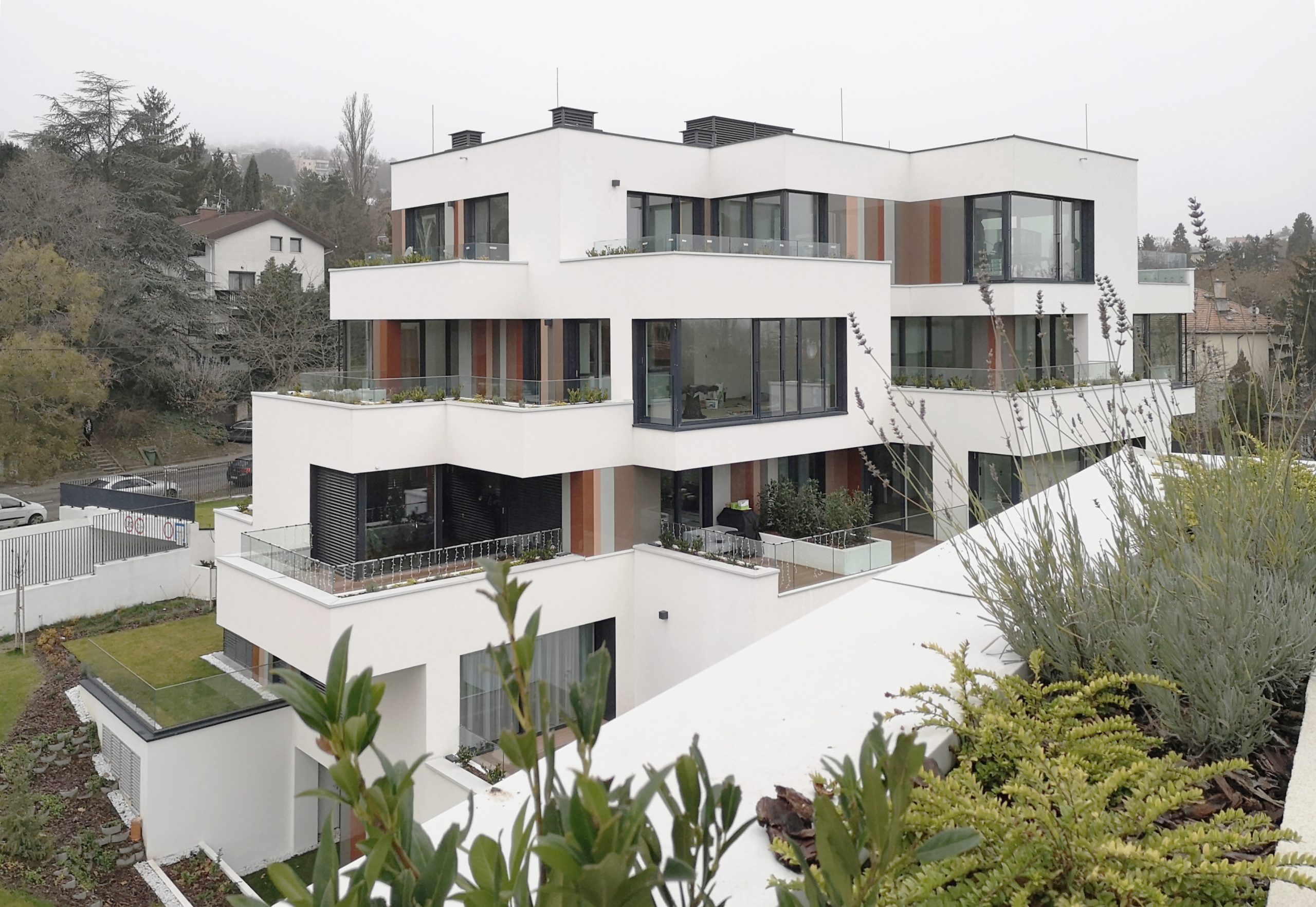 6655b5bb1f76a-scaled