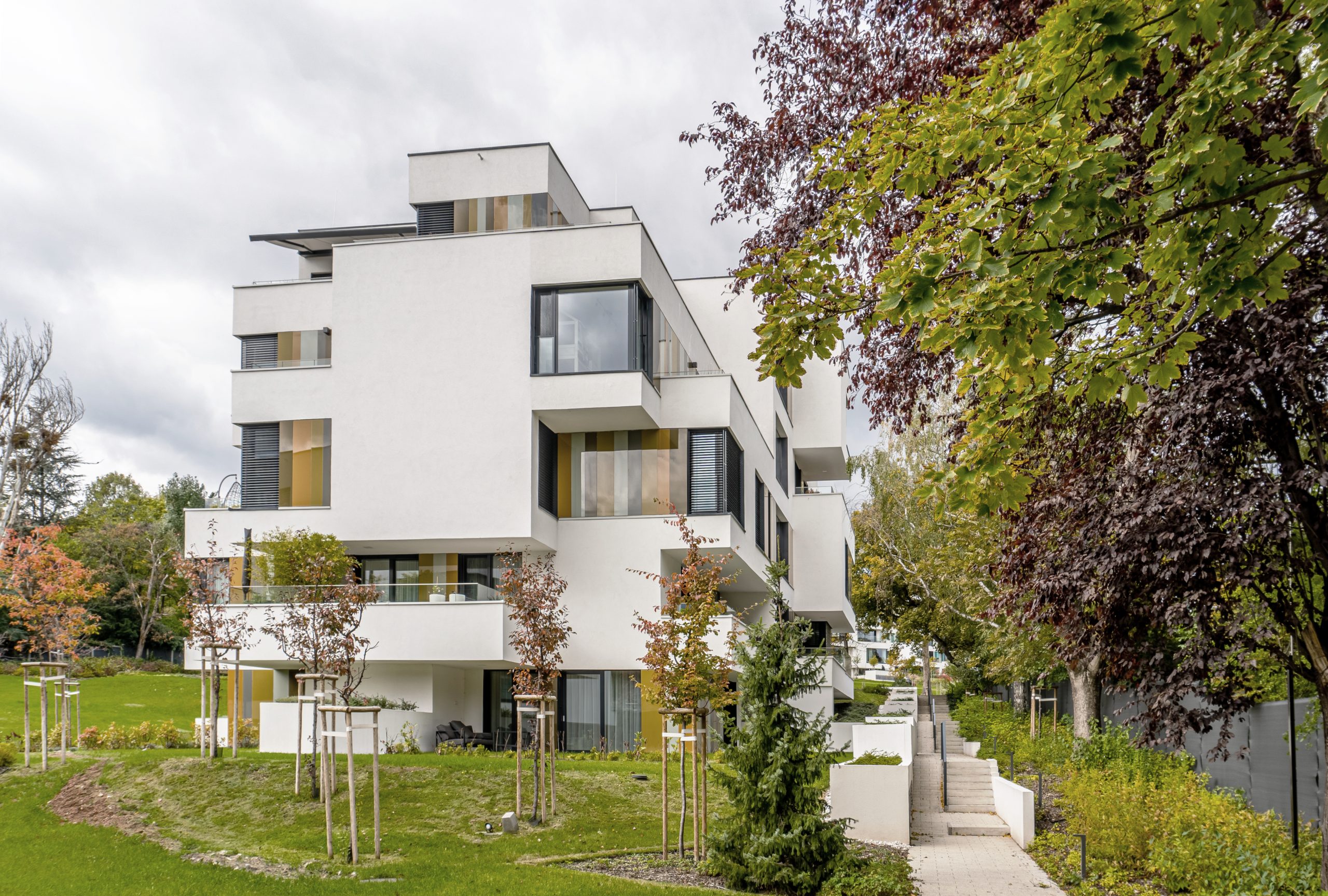 6655b5bb212f0-scaled